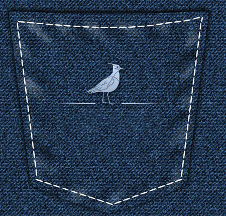 дизайн нашивки на карман